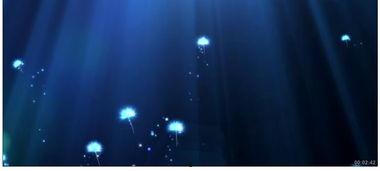 天鹅湖 创作背景,浪漫主义舞剧的诞生与传奇