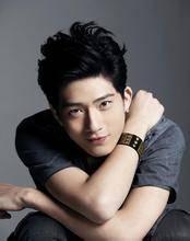 小鲜肉男明星排行榜