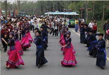 摆手舞图片,传承千年的民族风情画卷