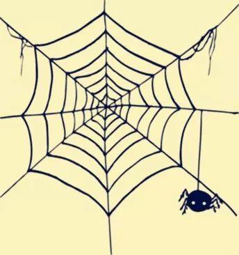 蜘蛛网 八卦,揭秘网络世界的神秘面纱